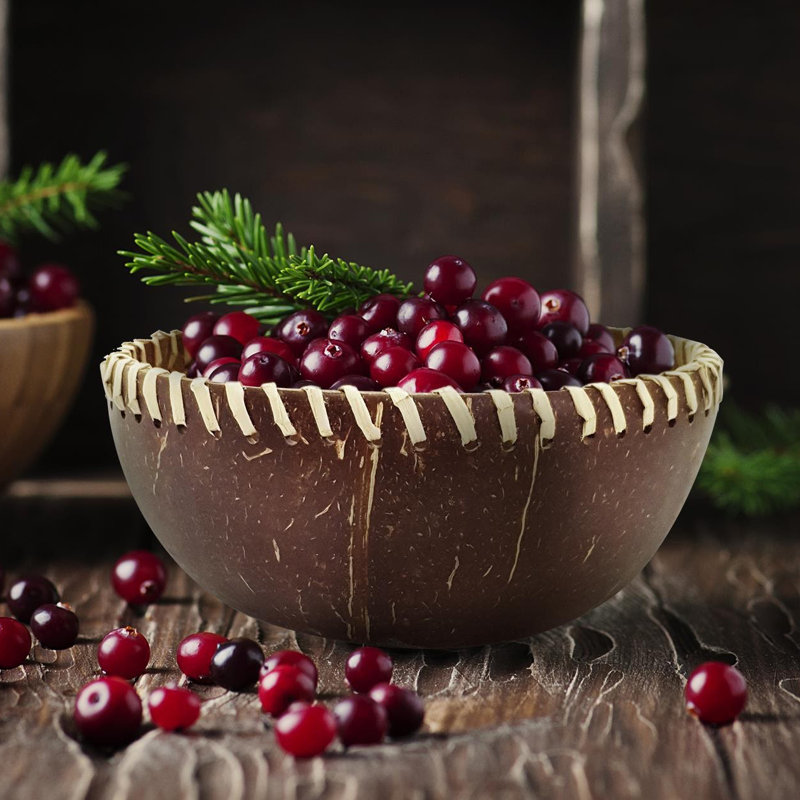 17 oz. Fiber Coconut Dessert Bowl