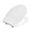 Toilet Seat PAPURI Soft Close Duroplast White-1433912974