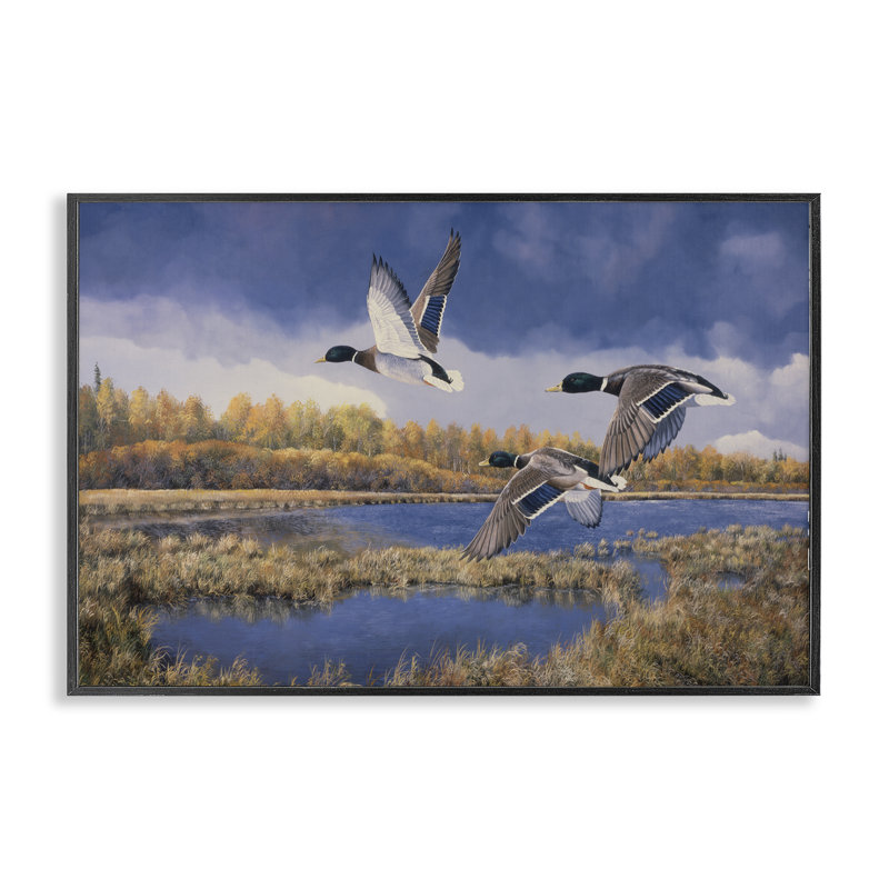 «Ducks Heading South Giclee» par Andrew Kiss, Giclée encadrée noir minuit, H 12 po x l 18 po