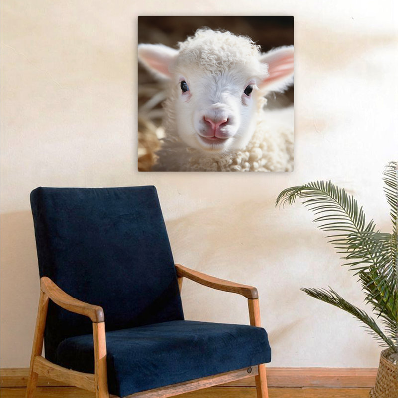 Cuddly Lamb, art contemporain de la nature, H 24 po x l 24 po