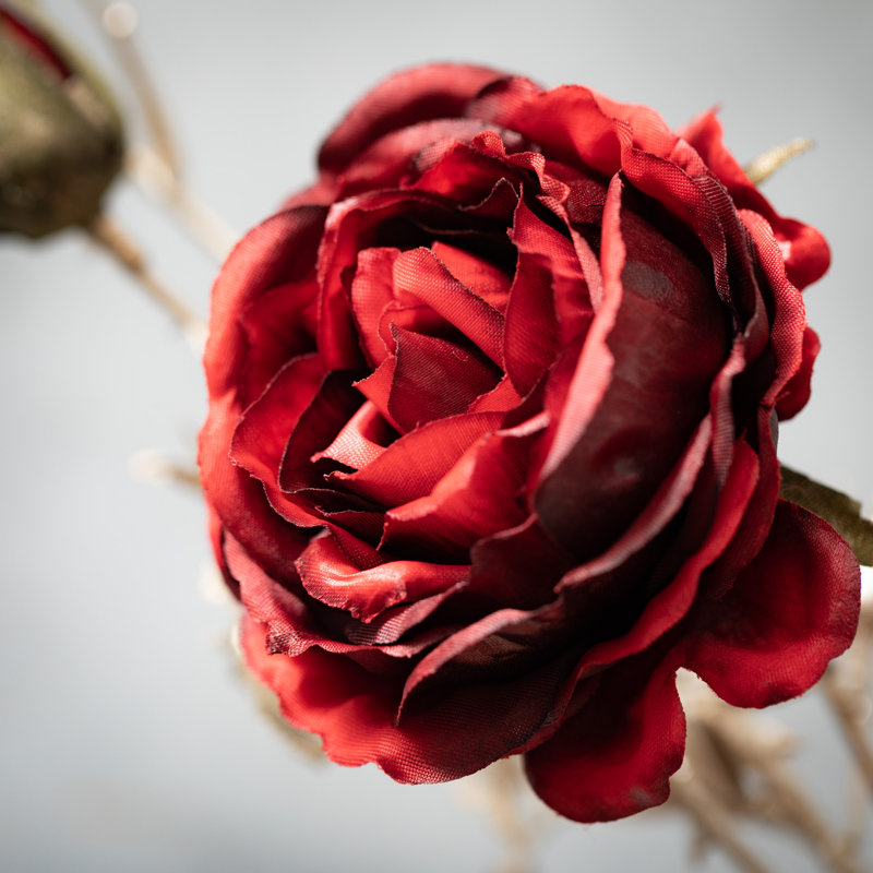 Rose Arrangement