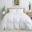 Santa Barbara Goose Down Comforter-1650350333
