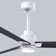 Alessandra - Three Blade Transitional Ceiling Fan -LED