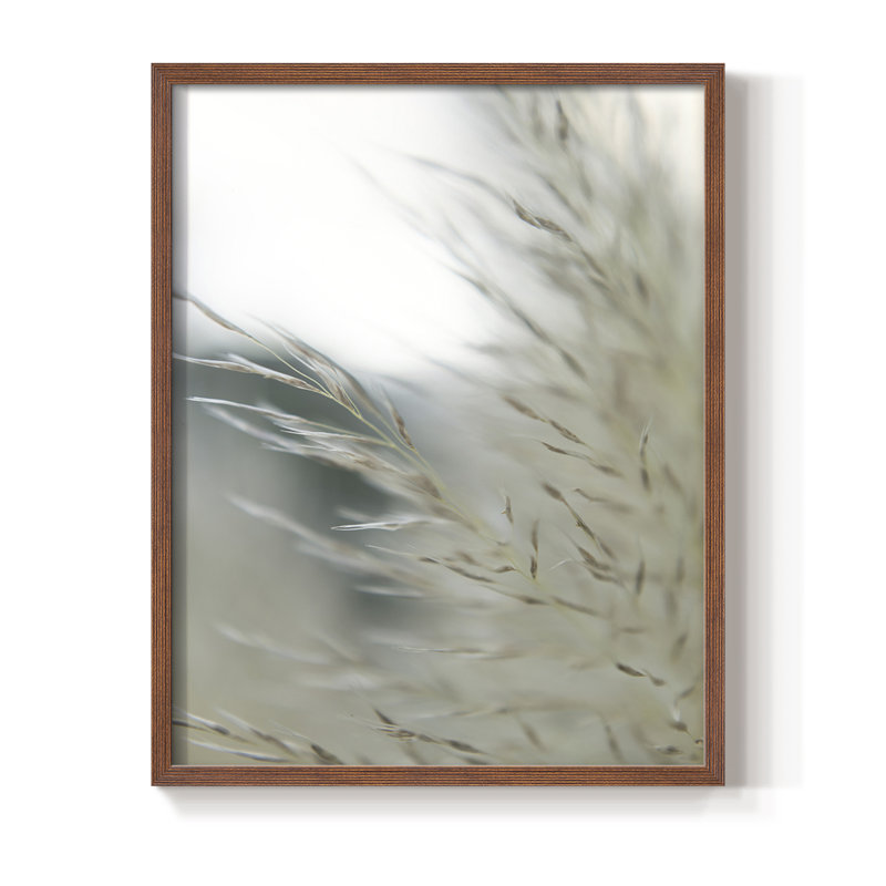 «Subtle Graminées II», reproduction encadrée - bois massif, H 14 po x l 11 po, Brun