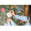 Marialice Cork Corkboard / Bulletin Board