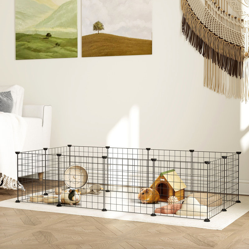 Cage de cochon d'Inde DIY pour l'intérieur ou l'extérieur, noir