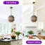Luminaire suspendu en cristal 1 lumière de 9,8 po de largeur