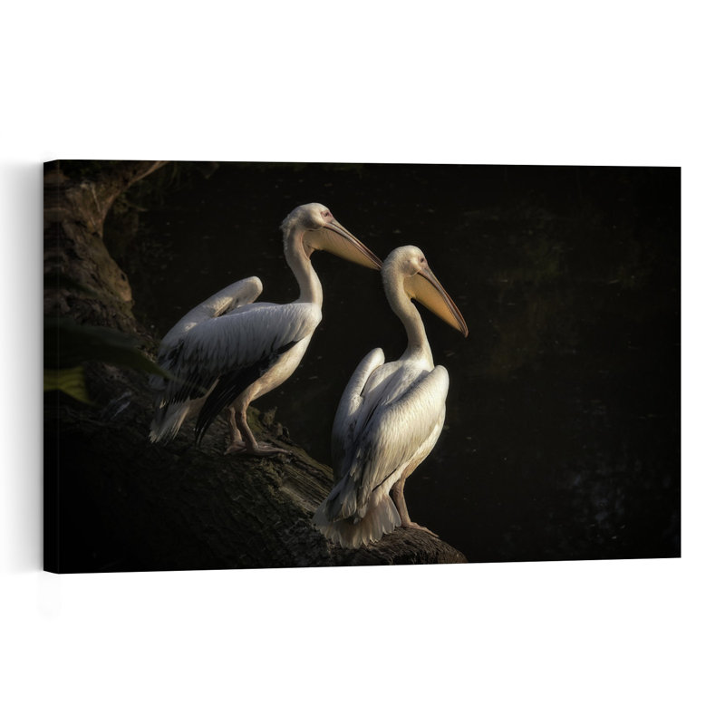 Elegant Pelican Pair Elegant Peaceful Serene Bird Pelican Nature Wildlife Wall Art Print 1 Piece Wrapped Canvas Wall Art