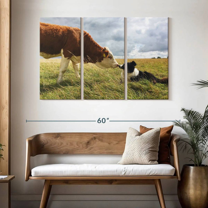 Border collie et vache, H 32 po x l 50 po