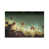 Gallery Wrapped Canvas n'est pas disponible