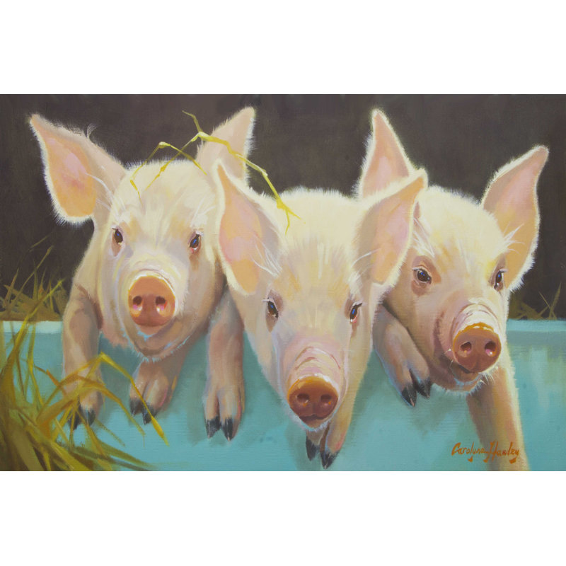 Life As A Pig I, H 8 po x l 12 po