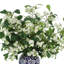 Budding Stems in Decorative Vase-1334256500