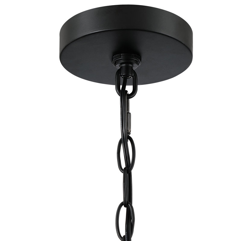 Schlesinger Outdoor Hanging Lantern