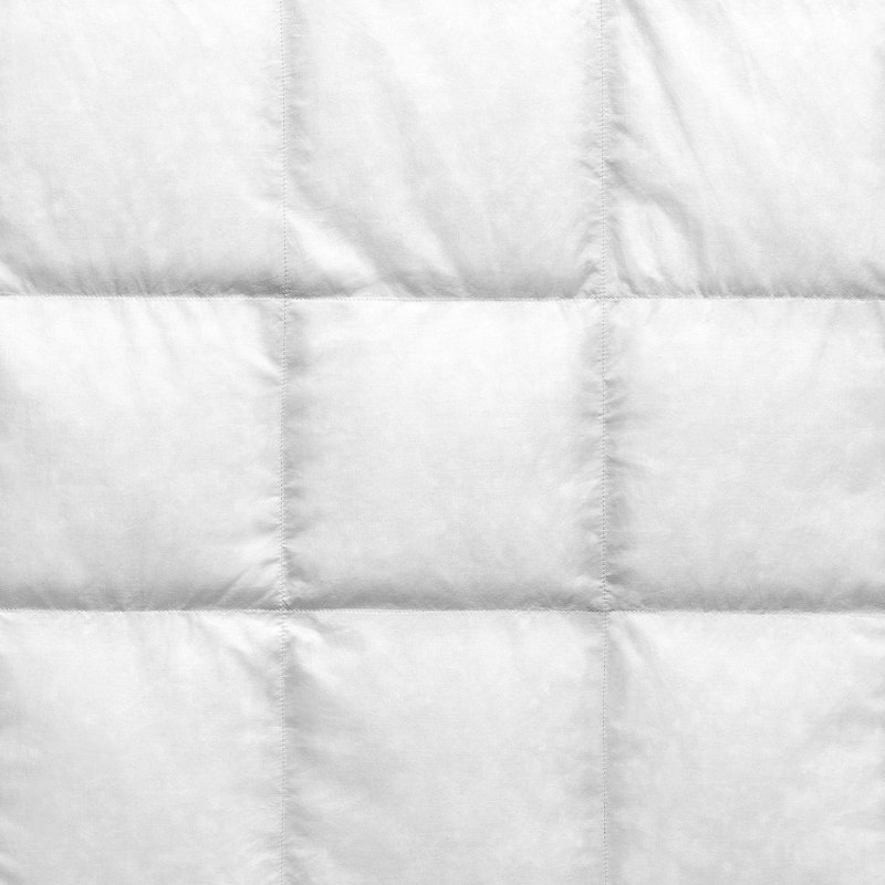 Royal Goose All Season Down Comforter, Twin
