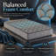 Medium Memory Foam-1464922633