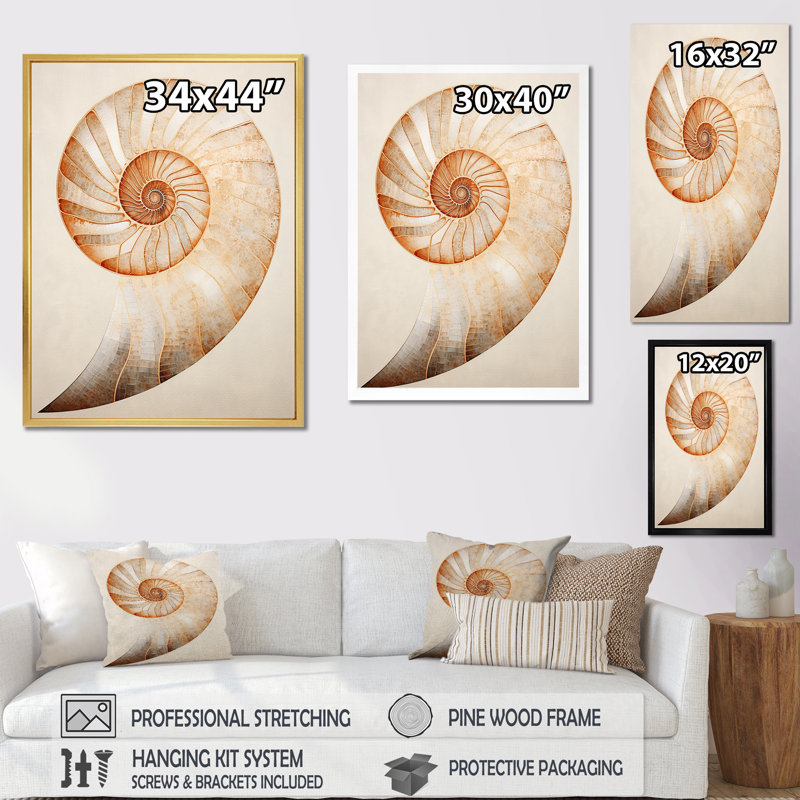 «Copper Curves Nautilus Spiral I» sur toile, H 40 po x l 30 po x P 1,5 po, Cadre naturel flottant
