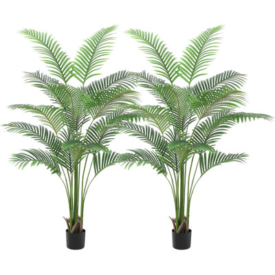 183cm Plant