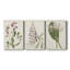 Antique Botanical Collection I - Toile tendue avec châssis sur mesure - 3 pièces-344768167