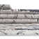Sageville Floral Indoor Rug