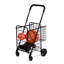Chariot utilitaire-50643066