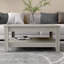 Weddel Basilico Coffee Table with Storage-2057449331