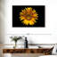 Harnek tournesol sur fond noir-107504442