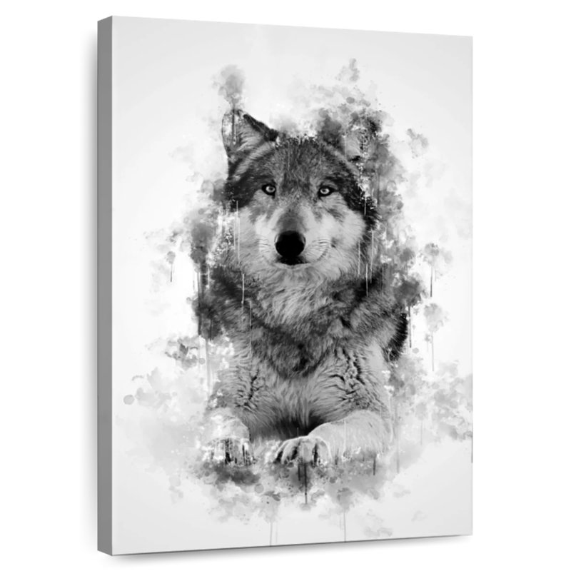 Loup Brampt assis en noir et blanc, H 24 po x l 16 po