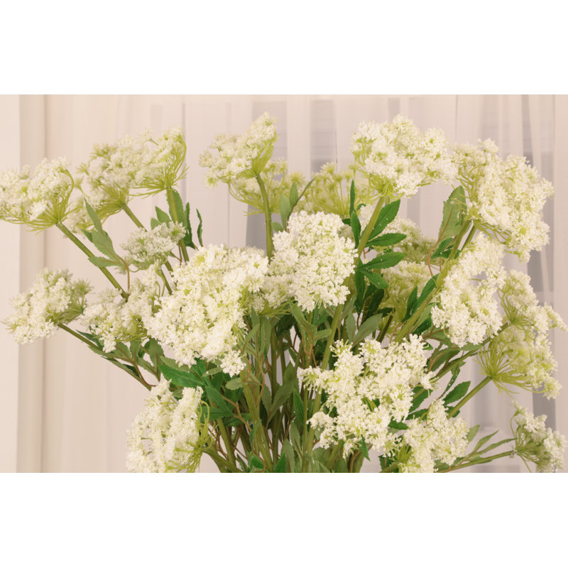 Lace Flower - 30 Inches Box of 12