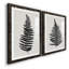 «Forest Fern III», reproduction de cadre photo sur toile 2 pièces-1681076168-1681075765