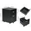 44cm Wide 2 -Drawer Mobile File Cabinet-23077255