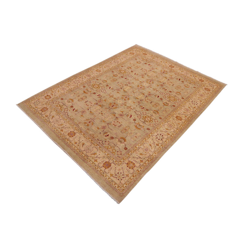 Tapis brun clair oriental en laine noué à la main 9 pi x 11 pi 11 po Oriental