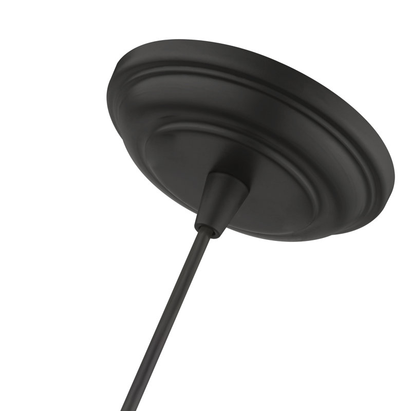 Luminaire suspendu en forme de cloche à 1 lumière Whinnie, Noir