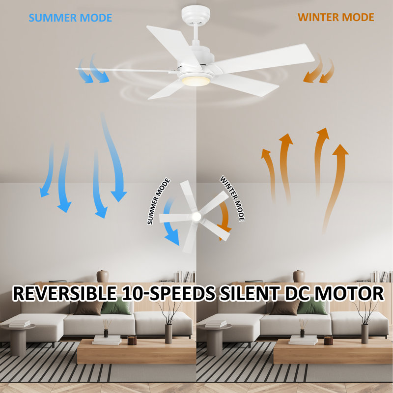 52'' Ceiling Fan with LED Lights, White, White