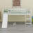 Loft Bed With Slide-419972222