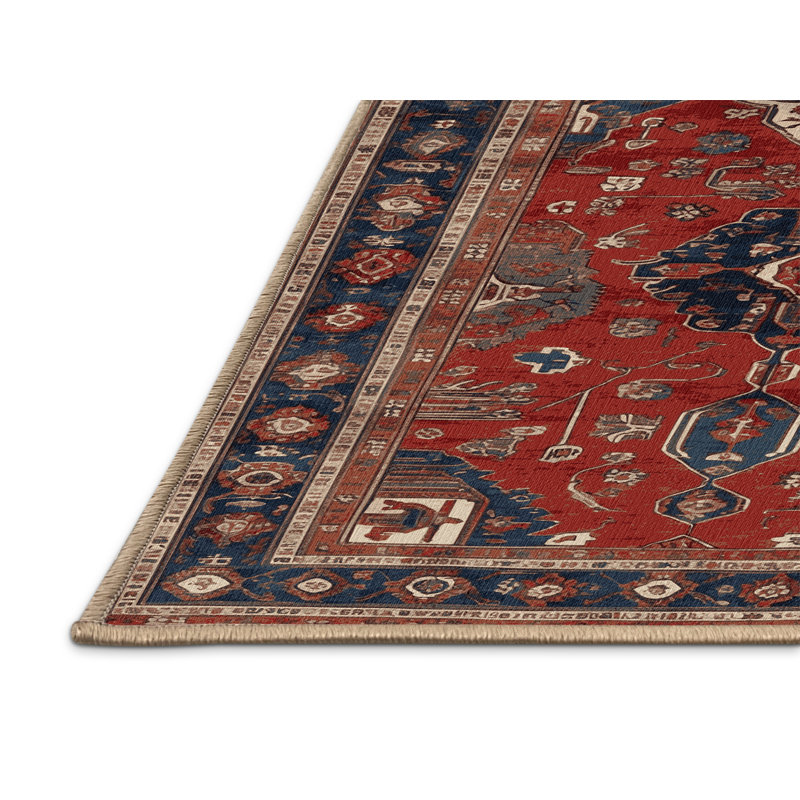 Machine Washable Turkish Brown Area Rug, Square 4'
