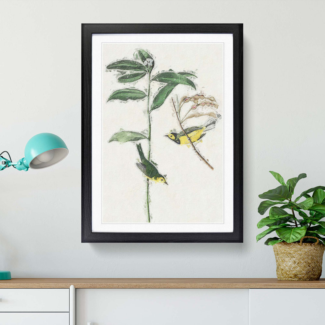 Hooded Warbler Birds by John Audubon - Picture Frame Painting Print