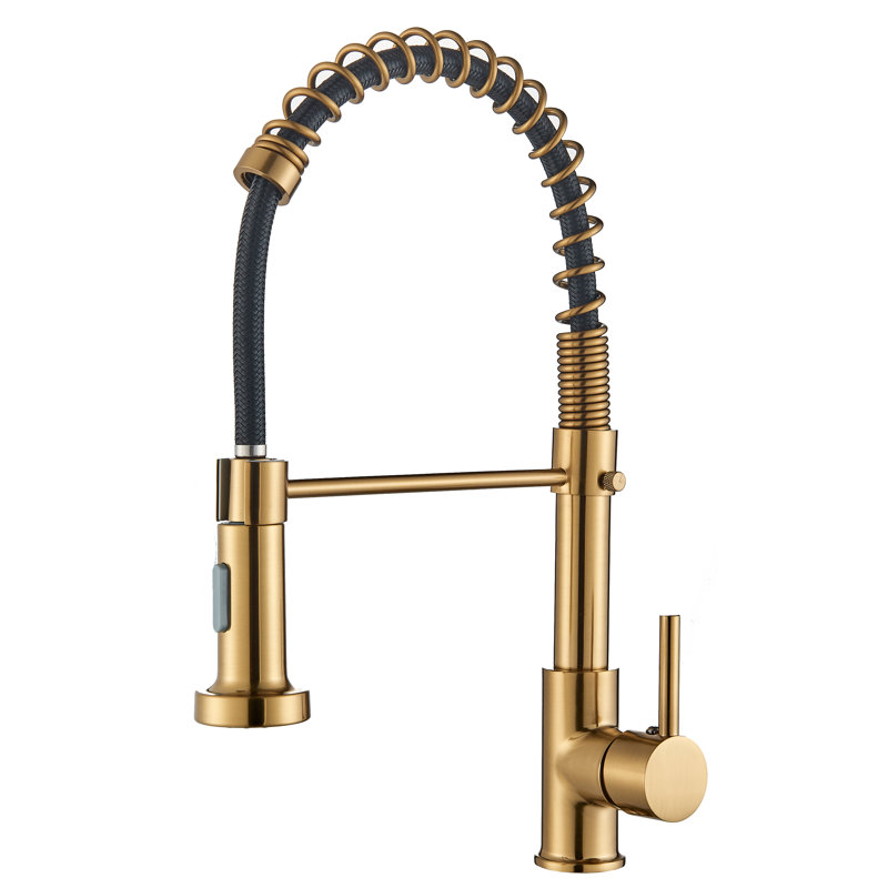 Belfry Kitchen Dejean Kitchen Faucet