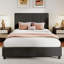 Lit double tapissier avec 4 tiroirs de rangement, tête de lit capitonnée en velours, sans sommier-130085736-130085739