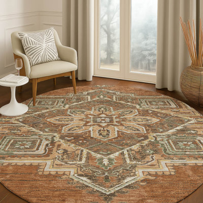 Machine Washable Indoor/Outdoor Chantille ACN2704 Global Rug