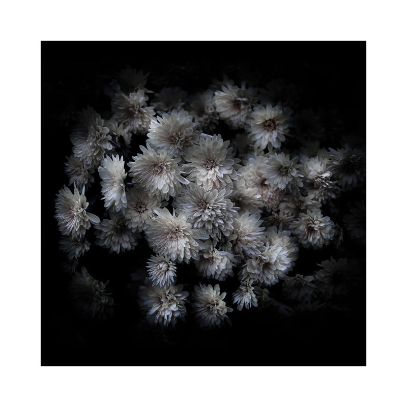 Mum Bouquet 1 Piece Wrapped Canvas Wall Art, 30.48 cm H x 30.48 cm W