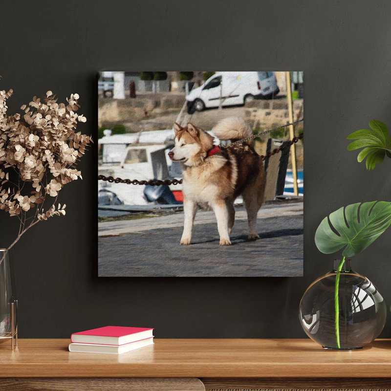 " Brown And White Siberian Husky On Road During Daytime " Graphic Art Painting, 16" H x 16" W