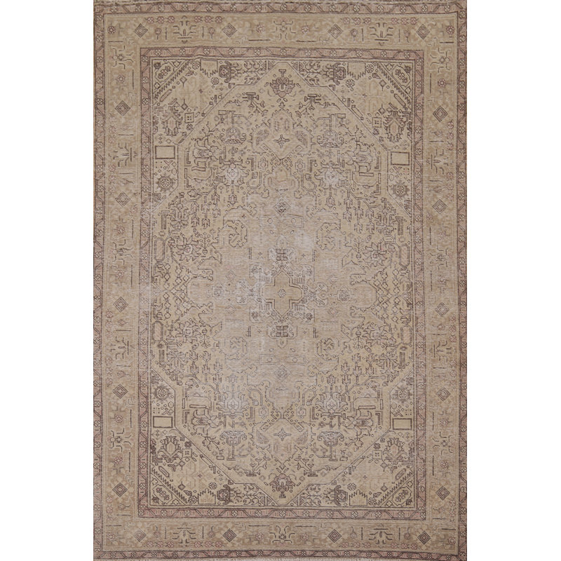 Distressed Wool Traditional Area Rug 6x10