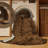 Machine Washable Solid Brown Area Rug