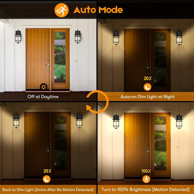 Aletha Wall Light