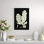 Seaweed Diagram II Framed
