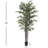 Arbre en bambou en pot All Trees 72 po
