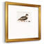 Golden Mallard - reproduction de cadre photo simple-87965421