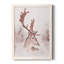 Cerf Michelson-88381531-88381532