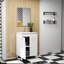 Ensemble de meuble-lavabo avec lavabo et miroir, portes doubles avec charnières à fermeture en douceur, armoire de salle de bain avec tablette ajustable, poignée en métal, lavabo en céramique, pieds réglables-125515010