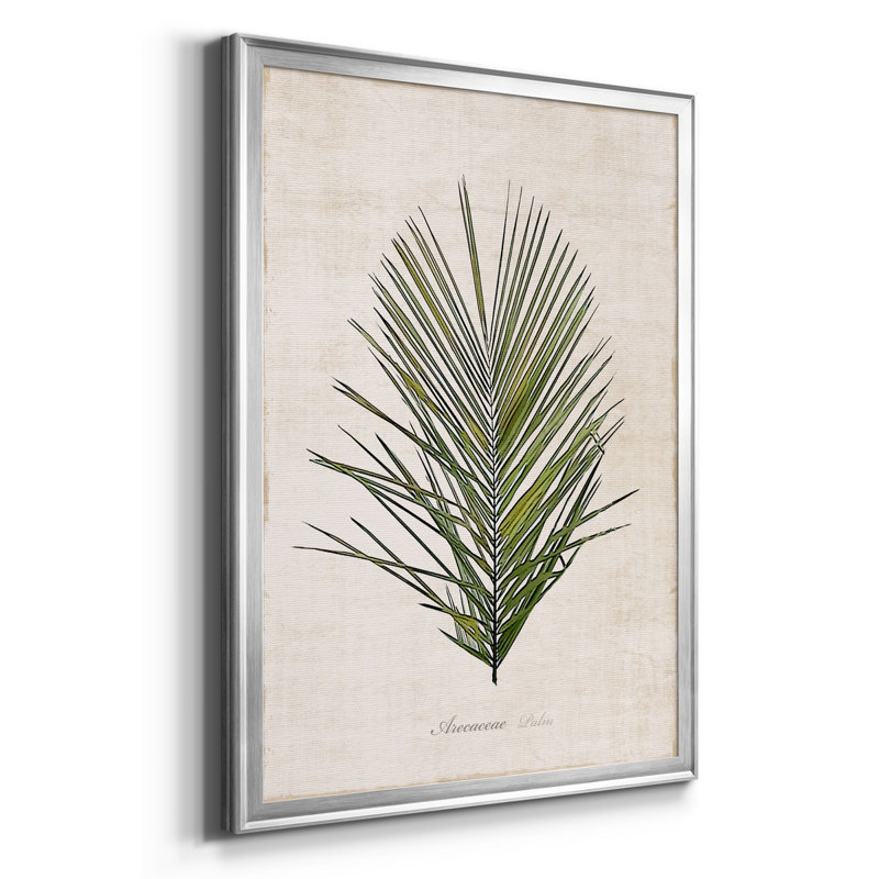 Palmier botanique I - impression, H 18,5 po x l 24,5 po x P 1,5 po, Argent